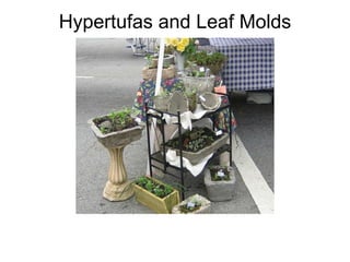 Hypertufas and Leaf Molds 