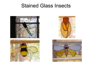 Stained Glass Insects 