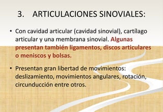 3. ARTICULACIONES SINOVIALES: Con cavidad articular (cavidad sinovial), cartílago articular y una membrana sinovial.  Algunas presentan también ligamentos, discos articulares o meniscos y bolsas.  Presentan gran libertad de movimientos: deslizamiento, movimientos angulares, rotación, circunducción entre otros. 