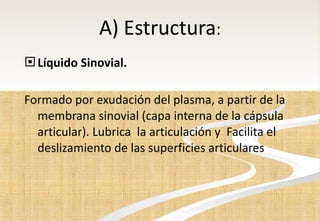 A) Estructura : Líquido Sinovial. Formado por exudación del plasma, a partir de la membrana sinovial (capa interna de la cápsula articular). Lubrica  la articulación y  Facilita el deslizamiento de las superficies articulares 
