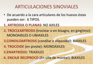 ARTICULACIONES SINOVIALES De acuerdo a la cara articulares de los huesos éstas pueden ser:  6 TIPOS. 1. ARTRODIA O PLANAS:  NO AXILES 2. TROCLEARTROSIS  (troclear o en bisagra, en ginglimo): MONOAXILES O UNIAXILES 3.CONDILOARTROSIS  (condilar o elipsoidal): BIAXILES 4. TROCOIDE  (en pivote): MONOAXILES 5.ENARTROSIS:  TRIAXILES 6. ENCAJE RECIPROCO  (En silla de montar): BIAXILES 