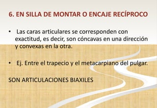 6. EN SILLA DE MONTAR O ENCAJE RECÍPROCO   Las caras articulares se   corresponden con exactitud, es decir,   son cóncavas en una dirección y convexas en la otra. Ej. Entre el trapecio y el metacarpiano del pulgar. SON ARTICULACIONES BIAXILES 