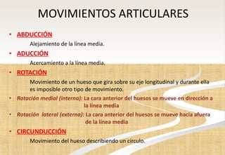 MOVIMIENTOS ARTICULARES ABDUCCIÓN Alejamiento de la línea media. ADUCCIÓN Acercamiento a la línea media. ROTACIÓN Movimiento de un hueso que gira sobre su eje longitudinal y durante ella  es imposible otro tipo de movimiento. Rotación medial (interna):  La cara anterior del huesos se mueve en dirección a    la línea media Rotación  lateral (externa):  La cara anterior del huesos se mueve hacia afuera    de la línea media CIRCUNDUCCIÓN Movimiento del hueso describiendo un círculo. 