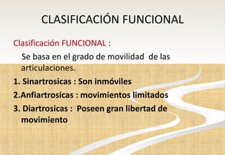 CLASIFICACIÓN FUNCIONAL Clasificación FUNCIONAL :  Se basa en el grado de movilidad  de las articulaciones. 1. Sinartrosicas : Son inmóviles  2.Anfiartrosicas : movimientos limitados 3. Diartrosicas :  Poseen gran libertad de  movimiento 