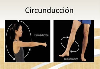 Circunducción  