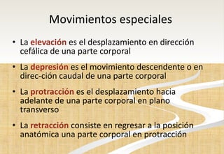 Movimientos especiales  La  elevación   es el desplazamiento en dirección cefálica de una parte corporal  La  depresión   es el movimiento descendente o en direc­ción caudal de una parte corporal  La  protracción   es el desplazamiento hacia adelante de una parte corporal en plano transverso  La  retracción   consiste en regresar a la posición anatómica una parte corporal en protracción  