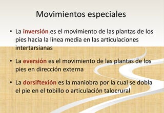 Movimientos especiales  La  inversión  es el movimiento de las plantas de los pies hacia la línea media en las articulaciones intertarsianas  La  eversión   es el movimiento de las plantas de los pies en dirección externa  La  dorsiftexión   es la maniobra por la cual se dobla el pie en el tobillo o articulación talocrural  