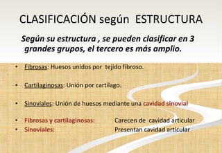 CLASIFICACIÓN según  ESTRUCTURA Según su estructura , se pueden clasificar en 3 grandes grupos, el tercero es más amplio. Fibrosas : Huesos unidos por  tejido fibroso.    Cartilaginosas : Unión por cartílago.  Sinoviales : Unión de huesos mediante una  cavidad sinovial    Fibrosas y cartilaginosas:  Carecen de  cavidad articular Sinoviales:  Presentan cavidad articular 