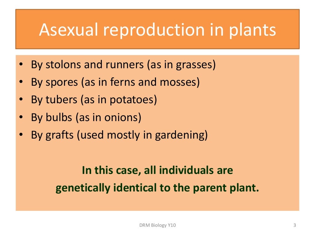 Powerpoint asexual reproduction in plants