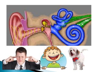Two Ear Animation Powerpoint assembly deaf awareness | PPTX