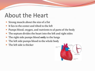 About the HeartStrong muscle about the size of a fistIt lies in the center and tilted to the leftPumps blood, oxygen, and nutrients to al parts of the bodyThe septum divides the heart into the left and right sidesThe right side pumps blood only to the lungsThe left side pumps blood to the whole bodyThe left side is thicker