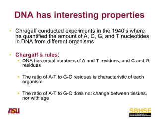 Comprehensive Overview of Nucleic Acids: DNA and RNA Structure ...