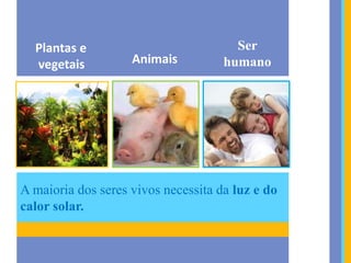 A maioria dos seres vivos necessita da luz e do
calor solar.
Plantas e
vegetais Animais
Ser
humano