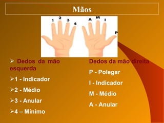 Mãos <ul><li>Dedos da mão esquerda </li></ul><ul><li>1 - Indicador </li></ul><ul><li>2 - Médio </li></ul><ul><li>3 - Anula...