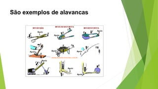 São exemplos de alavancas
 