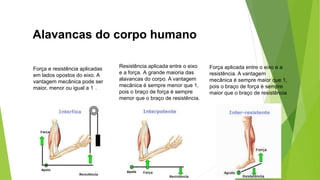 Alavancas do corpo humano
Força e resistência aplicadas
em lados opostos do eixo. A
vantagem mecânica pode ser
maior, menor ou igual a 1..
Resistência aplicada entre o eixo
e a força. A grande maioria das
alavancas do corpo. A vantagem
mecânica é sempre menor que 1,
pois o braço de força é sempre
menor que o braço de resistência.
Força aplicada entre o eixo e a
resistência. A vantagem
mecânica é sempre maior que 1,
pois o braço de força é sempre
maior que o braço de resistência
 