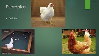 Exemplos 
 Galinha 
Millena 
 