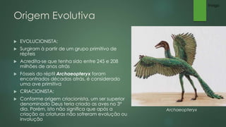 Origem Evolutiva 
 EVOLUCIONISTA: 
 Surgiram à partir de um grupo primitivo de 
répteis 
 Acredita-se que tenha sido entre 245 e 208 
milhões de anos atrás 
 Fósseis do réptil Archaeopteryx foram 
encontrados décadas atrás, é considerado 
uma ave primitiva 
 CRIACIONISTA: 
 Conforme origem criacionista, um ser superior 
denominado Deus teria criado as aves no 3º 
dia. Porém, isto não significa que após a 
criação as criaturas não sofreram evolução ou 
involução 
Archaeopteryx 
Thiago 
 