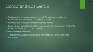 Características Gerais 
 São bípedes (se movimentam na posição vertical, usando as 
extremidades inferiores para assentar no solo) 
 Reprodução sexuada com fecundação interna 
 São ovíparos (embrião se desenvolve dentro de um ovo, em ambiente 
externo e sem ligação com a mãe) 
 Tetrápodes (4 membros) 
 Possuem bico (usado para pegar alimentos, quebrar, furar e até 
transportar) 
Millena 
 