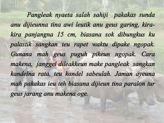 Perkara Pakakas Urang Sunda