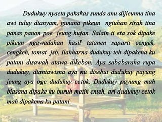 Perkara Pakakas Urang Sunda