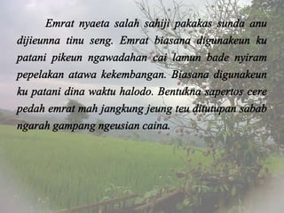 Perkara Pakakas Urang Sunda
