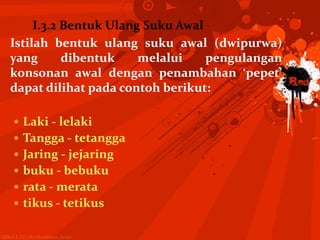 I.3.2 Bentuk Ulang Suku Awal
Istilah bentuk ulang suku awal (dwipurwa)
yang       dibentuk    melalui    pengulangan
konsonan awal dengan penambahan ‘pepet’
dapat dilihat pada contoh berikut:

 Laki - lelaki
 Tangga - tetangga
 Jaring - jejaring
 buku - bebuku
 rata - merata
 tikus - tetikus
 