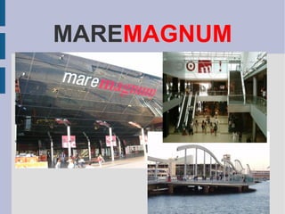 MARE MAGNUM 