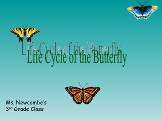Life Cycle of the Butterfly Ms. Newcombe’s  3 nd  Grade Class 