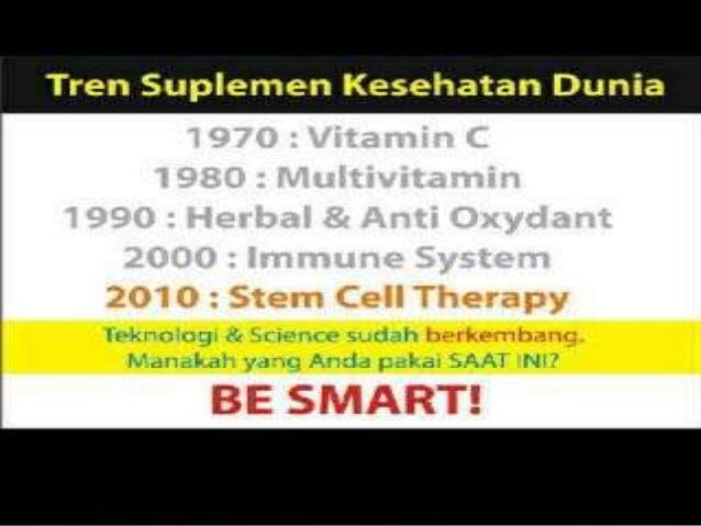 Marketing Plan Bkev GLobal Network