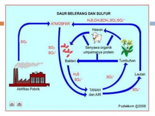 Power point biogeokimia