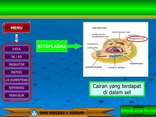 MENU



                 SITOPLASMA
    JUDUL

   SK / KD

  INDIKATOR

   MATERI

UJI KOMPETENSI

  REFERENSI                           Cairan yang terdapat
  PENYUSUN
                                           di dalam sel


                 SMK NEGERI 1 KURUN
 