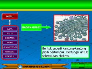 MENU



                 BADAN GOLGI
    JUDUL

   SK / KD

  INDIKATOR

   MATERI

UJI KOMPETENSI
                               Bentuk seperti kantong-kantong
  REFERENSI                    pipih bertumpuk. Berfungsi untuk
  PENYUSUN                     sekresi dan ekskresi


                 SMK NEGERI 1 KURUN
 