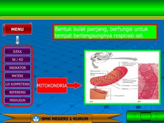 MENU                Bentuk bulat panjang, berfungsi untuk
                       tempat berlangsungnya respirasi sel.

    JUDUL

   SK / KD

  INDIKATOR

   MATERI

UJI KOMPETENSI
                 MITOKONDRIA
  REFERENSI

  PENYUSUN




                  SMK NEGERI 1 KURUN
 