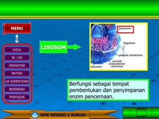 MENU




    JUDUL
                 LISOSOM
   SK / KD

  INDIKATOR

   MATERI

UJI KOMPETENSI
                            Berfungsi sebagai tempat
  REFERENSI
                            pembentukan dan penyimpanan
  PENYUSUN                  enzim pencernaan.


                 SMK NEGERI 1 KURUN
 
