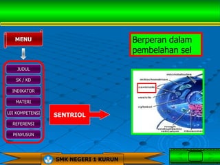 MENU                               Berperan dalam
                                      pembelahan sel

    JUDUL

   SK / KD

  INDIKATOR

   MATERI

UJI KOMPETENSI
                 SENTRIOL
  REFERENSI

  PENYUSUN




                 SMK NEGERI 1 KURUN
 