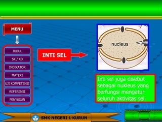 MENU




    JUDUL
                 INTI SEL
   SK / KD

  INDIKATOR

   MATERI
                                      Inti sel juga disebut
UJI KOMPETENSI
                                      sebagai nukleus yang
  REFERENSI                           berfungsi mengatur
  PENYUSUN                            seluruh aktivitas sel.


                 SMK NEGERI 1 KURUN
 