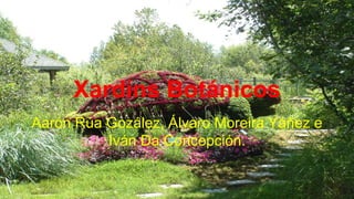 Xardíns Botánicos
Aarón Rúa Gozález, Álvaro Moreira Yáñez e
Iván Da Concepción.
 
