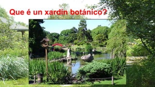Que é un xardín botánico?
 