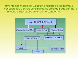 ~ Fermentación metánica: Digestión anaerobia de la  biomasa   por bacterias. Consiste principalmente en la degradación de la  materia en gases que sirven como combustible. 