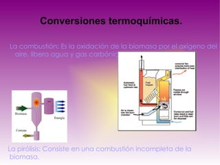 Conversiones termoquímicas. La combustión: Es la oxidación de la biomasa por el oxígeno del  aire, libera agua y gas carbónico.   La pirólisis: Consiste en una combustión incompleta de la  biomasa. 