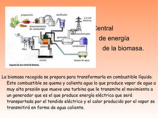 Central de energía  de la biomasa.  La biomasa recogida se prepara para transformarla en combustible líquido. Este combustible se quema y calienta agua lo que produce vapor de agua a muy alta presión que mueve una turbina que le transmite el movimiento a un generador que es el que produce energía eléctrica que será transportada por el tendido eléctrico y el calor producido por el vapor se transmitirá en forma de agua caliente. 