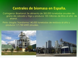 Centrales de  biomasa  en España. Cartagena- Bioetanol: Se alimenta de 300.000 toneladas anuales de  grano de cebada y trigo y produce 100 millones de litros al año  de  etanol. Pinto- biogás: Transforma 140.000 toneladas de residuos al año y  produce 117.730 MWh anuales. 