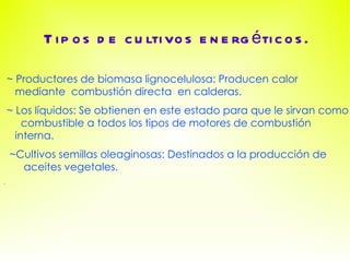 Tipos de cultivos energéticos. ~ Productores de biomasa lignocelulosa: Producen calor mediante  combustión directa  en calderas.  ~ Los líquidos: Se obtienen en este estado para que le sirvan como  combustible a todos los tipos de motores de combustión interna.  ~Cultivos semillas oleaginosas: Destinados a la producción de  aceites vegetales. . 