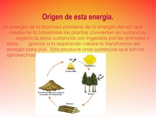 Origen de esta energía.   La energía de la biomasa proviene de la energía del sol, que  mediante la fotosíntesis las plantas convierten en sustancias  orgánicas,estas sustancias son ingeridas por los animales y estos  gracias a la respiración celular lo transforman en energía para vivir.  Esto produce unas sustancias que son las aprovechadas.  