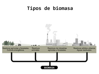 Tipos de biomasa 