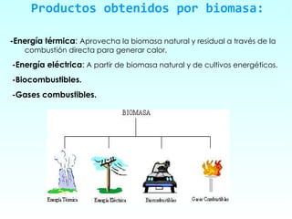 Productos obtenidos por biomasa: -Energía térmica :  Aprovecha la biomasa natural y residual a través de la  combustión directa para generar calor. -Energía eléctrica :  A partir de biomasa natural y de cultivos energéticos. -Biocombustibles. -Gases combustibles.   