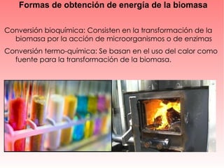 Formas de obtención de energía de la biomasa Conversión bioquímica: Consisten en la transformación de la  biomasa por la acción de microorganismos o de enzimas Conversión termo-química: Se basan en el uso del calor como  fuente para la transformación de la biomasa. 