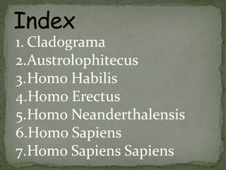 IndexCladogramaAustrolophitecusHomo HabilisHomo ErectusHomo NeanderthalensisHomo Sapiens Homo Sapiens Sapiens