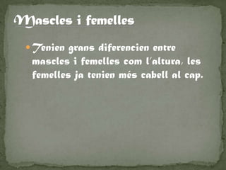 Mascles i femellesTenien grans diferencien entre mascles i femelles com l’altura, les femelles ja tenien més cabell al cap.